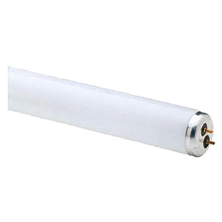 CURRENT 48 in. Westpointe 32W T8 Linear Fluorescent Tube, 2PK 238124